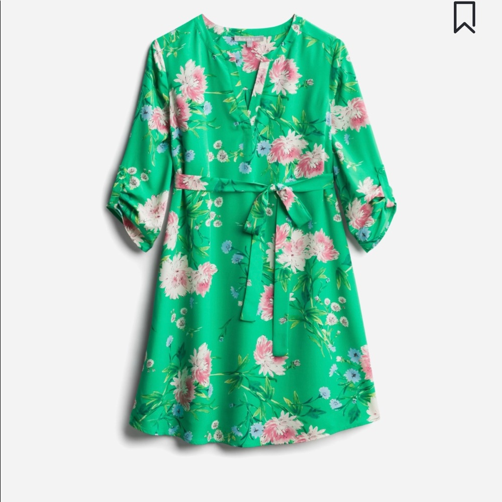 Harlow Maternity Shirt Dress
